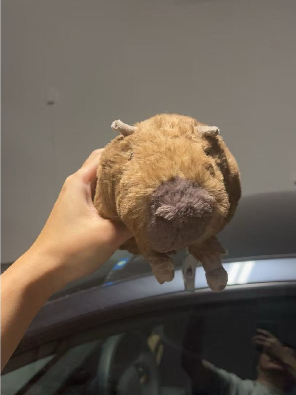 Jellycat Clyde Capybara Doll